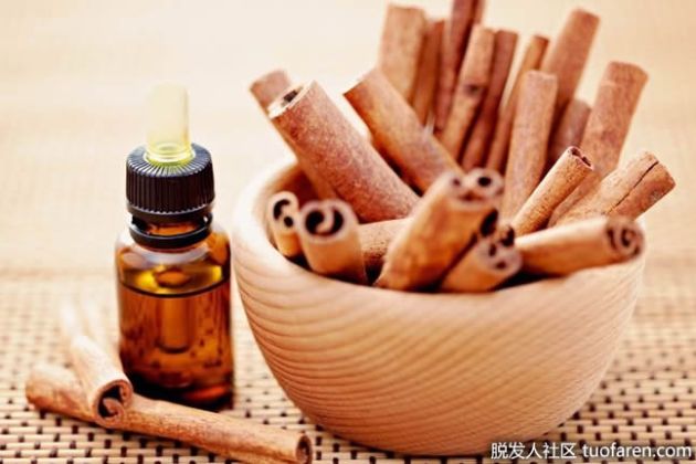 【圖】什麼是肉桂精油？