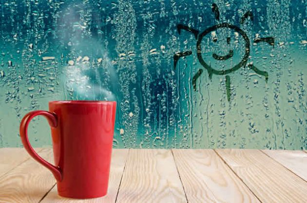 【圖】濕度與毛髮生長