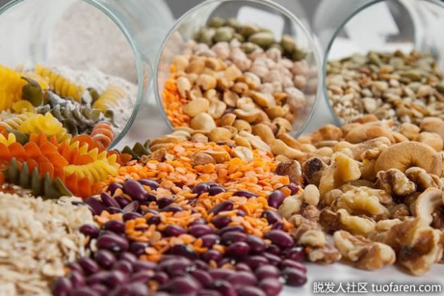 【圖】什麼是互補蛋白？