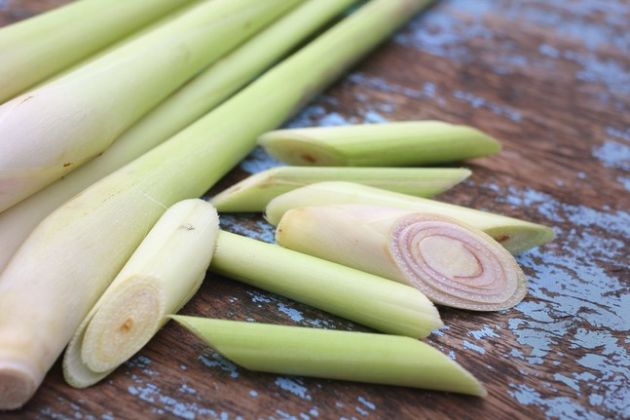 【圖】檸檬草是什麼?