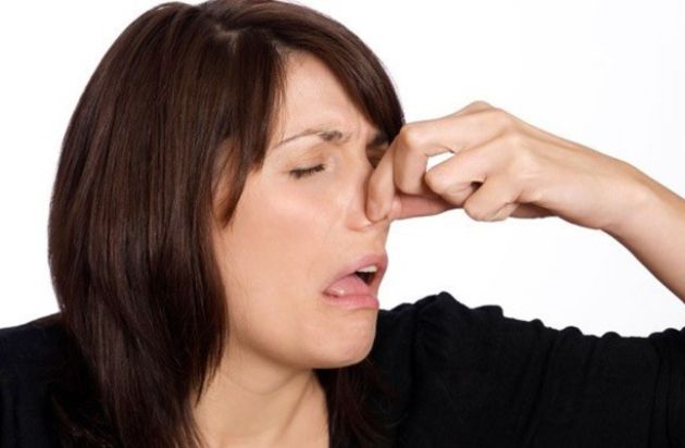 【圖】如何去除頭髮的異味