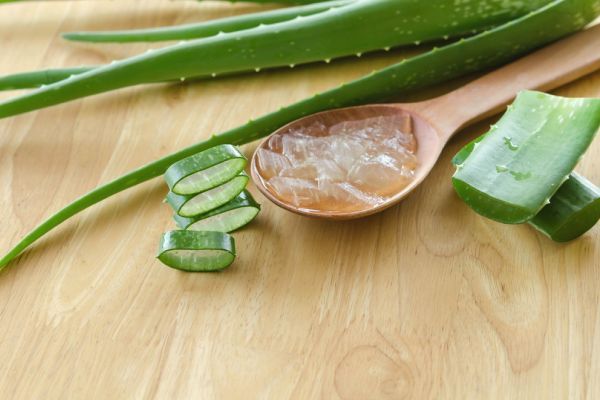 【圖】蘆薈凝膠、檸檬汁、蓖麻油和大麻籽油有什麼好處?