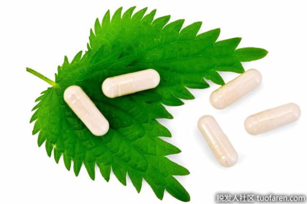 【圖】什麼是天然的抗組胺劑？