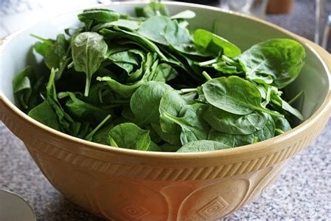 【圖】頭髮生長食物之菠菜