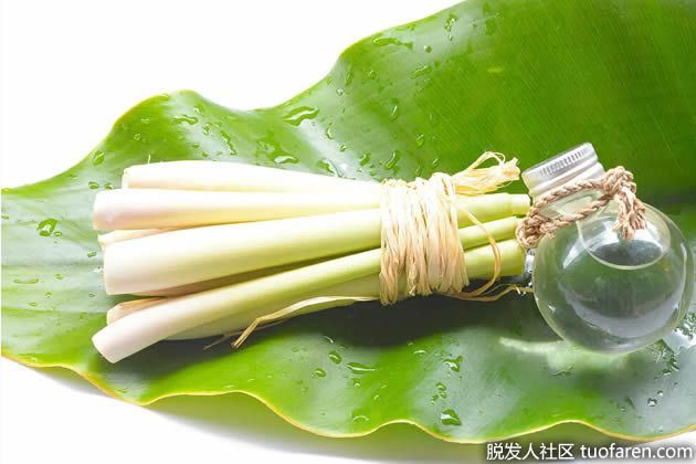 【圖】檸檬草精油去頭屑