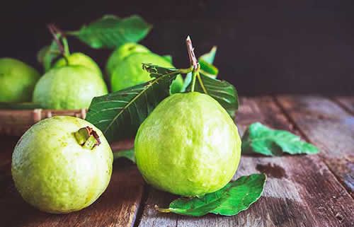 【圖】番石榴葉洗頭預防脱髮