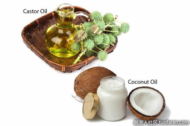 【圖】蓖麻油和椰子油怎麼塗頭髮