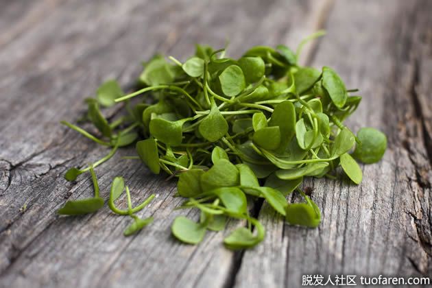 【圖】豆瓣菜對頭髮的好處