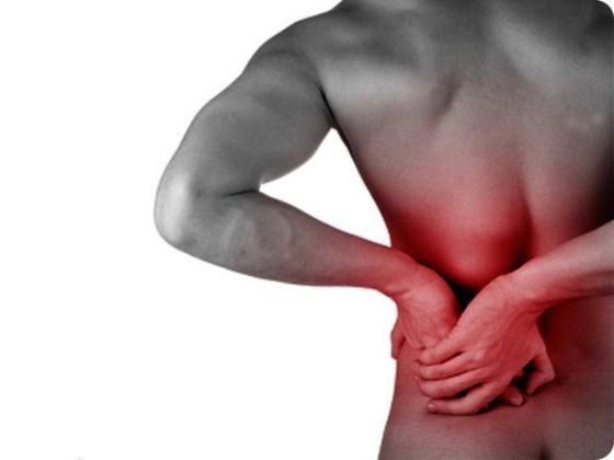 【圖】如何通過強化腎臟來治療脱髮