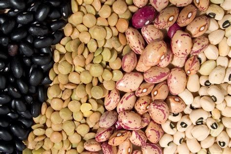 【圖】豆類富含蛋白質促進毛髮生長