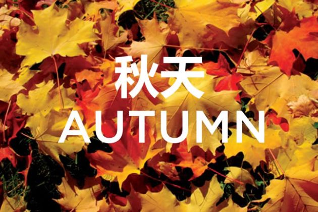 【圖】秋天脱髮——別擔心，這是很自然現象