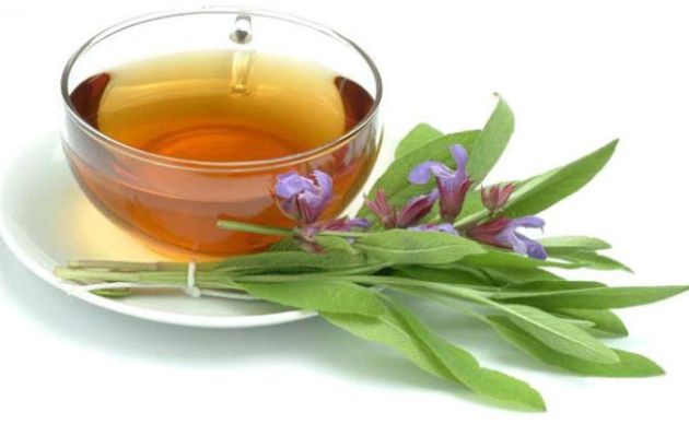 【圖】綠茶對更年期的益處