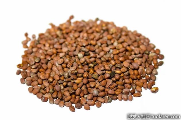 【圖】蘿蔔油有什麼好處？