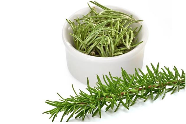 【圖】什麼是野生迷迭香?