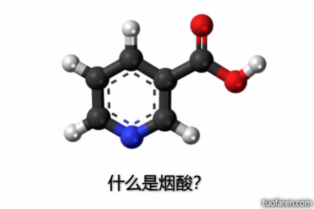【圖】什麼是煙酸？