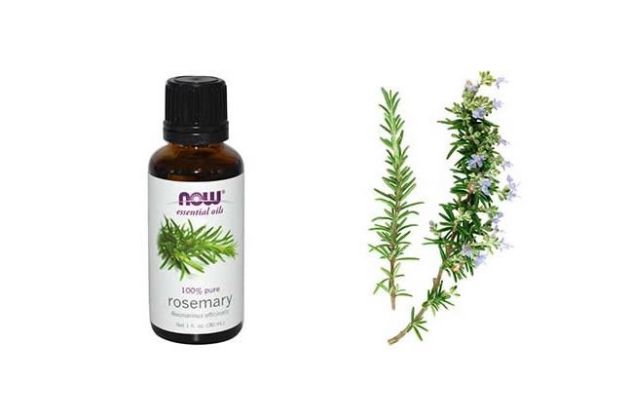 【圖】迷迭香髮油是什麼?