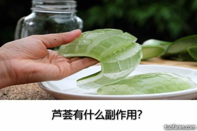 【圖】蘆薈有什麼副作用？