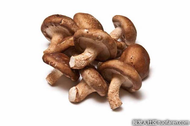 【圖】頭髮生長食物之香菇