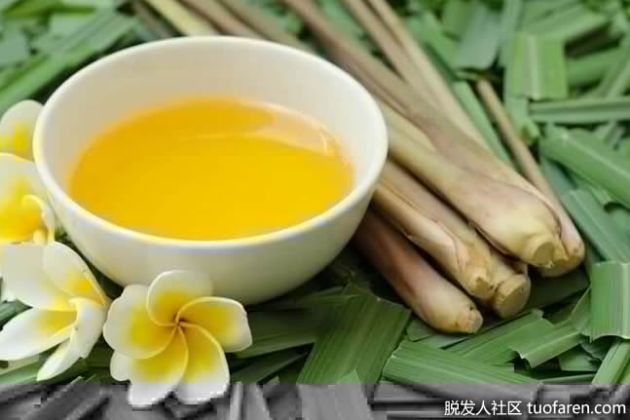 【圖】什麼是香茅油？