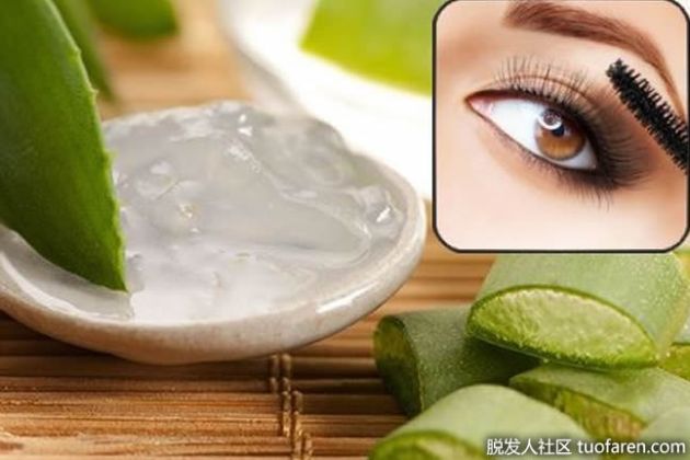 【圖】眉毛怎麼長得濃密