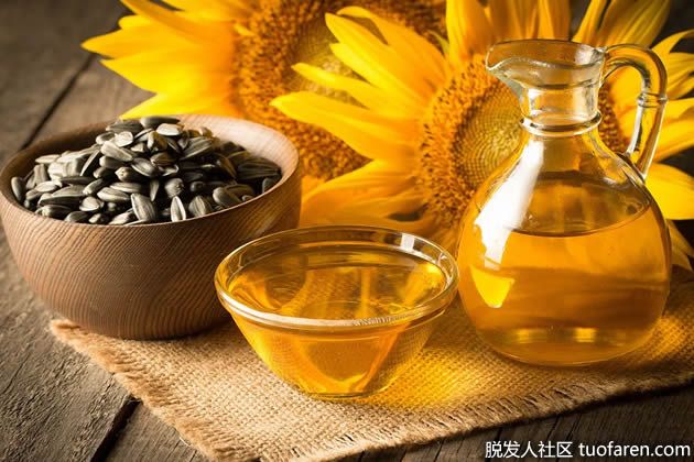 【圖】富含維生素E的食物：葵花籽油