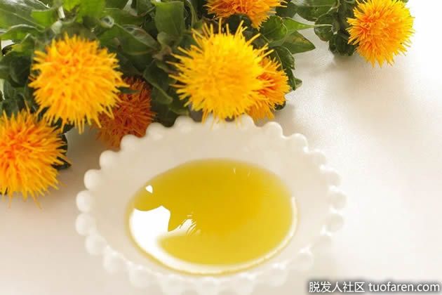 【圖】富含維生素E的食物：紅花籽油