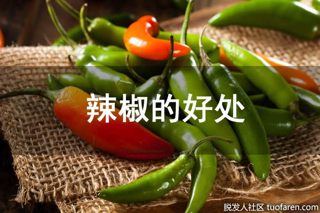 【圖】辣椒的好處