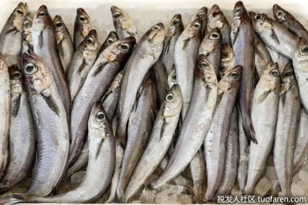 【圖】魚對健康有什麼好處？