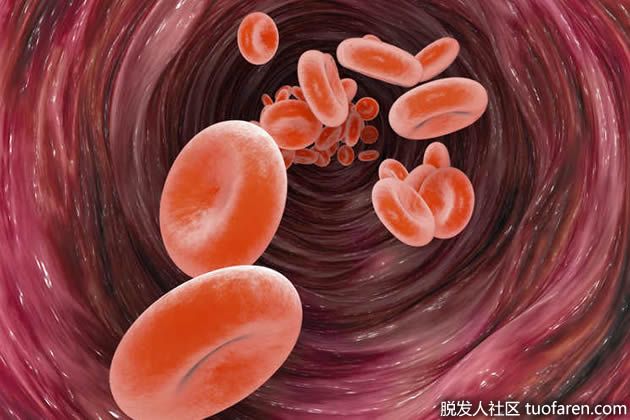 【圖】鐵在人體中的好處