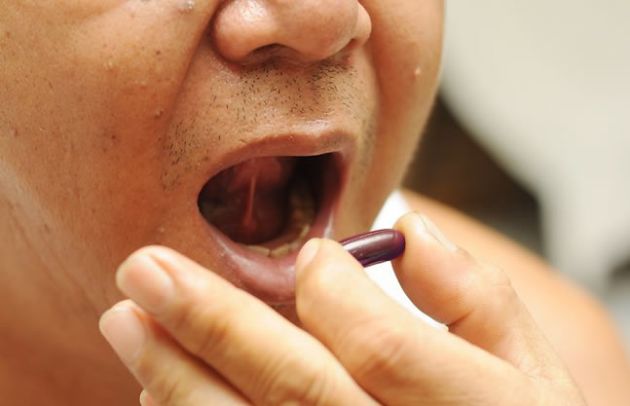 【圖】鋸棕櫚有什麼用?