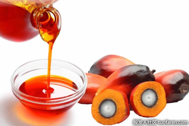 【圖】什麼是棕櫚仁油？