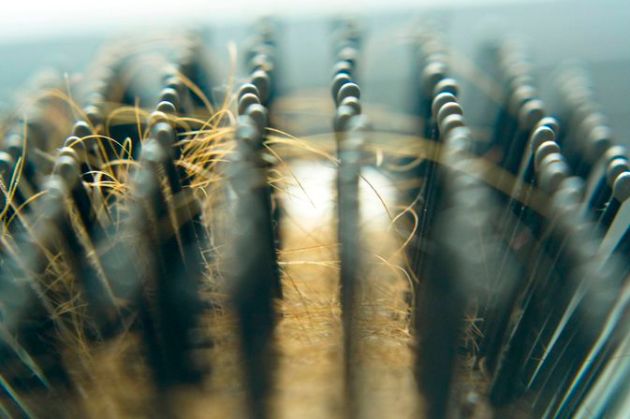 【圖】頭髮變細的原因是什麼?