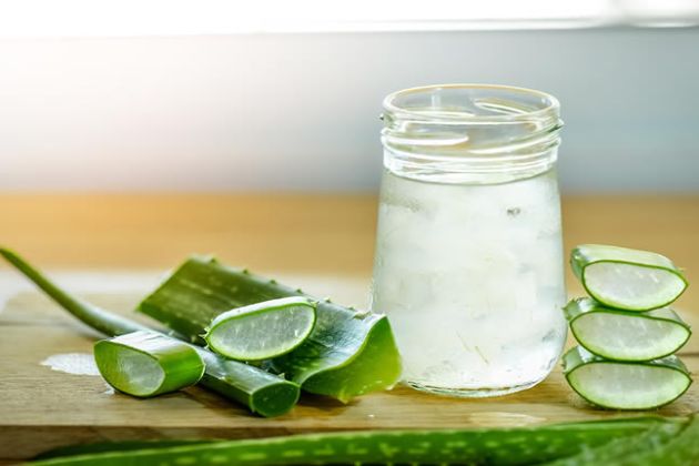 【圖】蘆薈有哪些促進健康的特性?