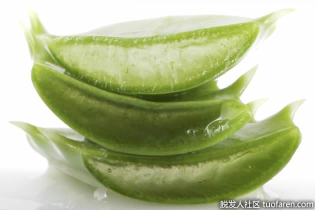 【圖】如何儲存蘆薈凝膠？