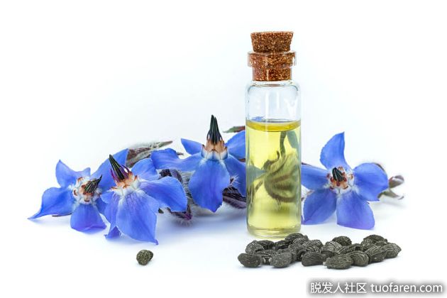 【圖】琉璃苣油的好處