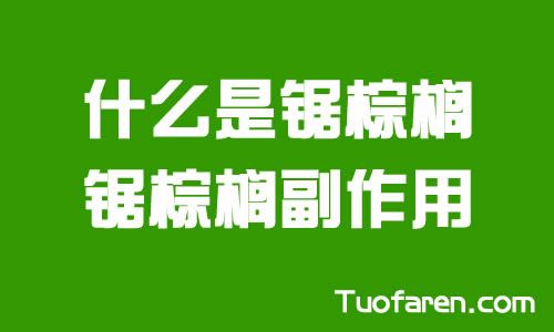 【圖】什麼是鋸棕櫚 副作用