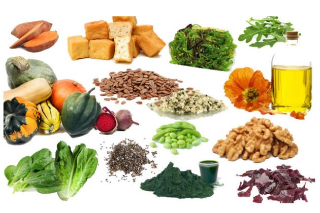 【圖】最佳的素食DHA來源是什麼？