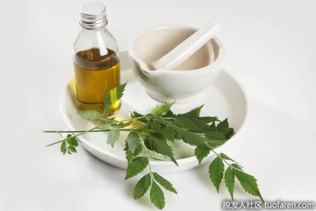 【圖】印楝油對頭髮的好處、如何使用