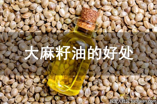 【圖】大麻籽油的好處