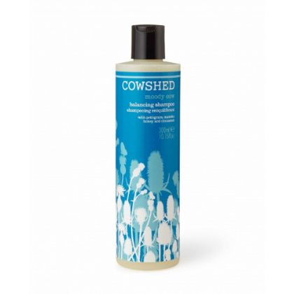 【圖】什麼是平衡洗髮水?