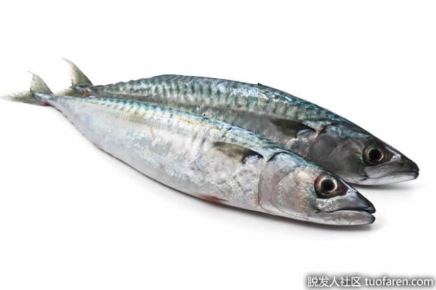 【圖】什麼是高EPA魚油？