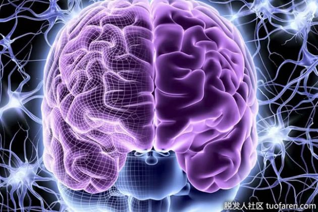 【圖】神經末梢的功能是什麼？