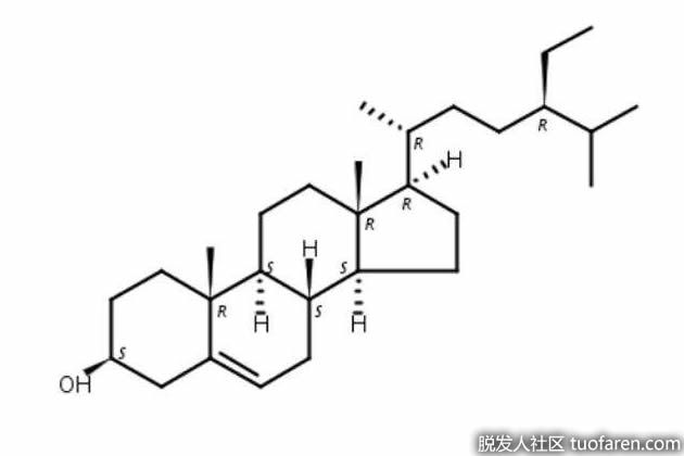 【圖】β-谷甾醇的好處