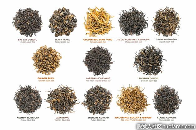 【圖】紅茶有哪些種類？