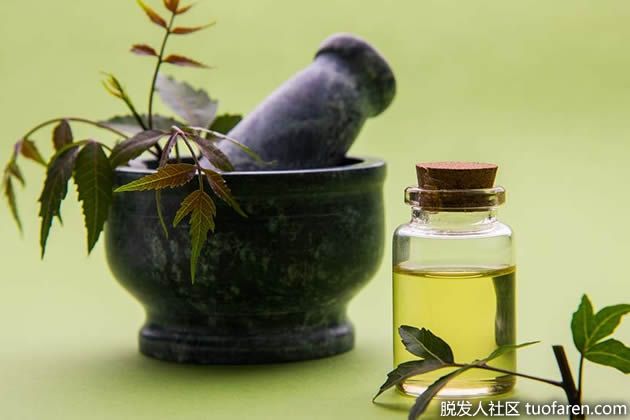 【圖】印楝油的好處