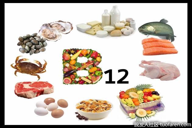 【圖】維生素B12食物、補充劑和每日攝入量RDA