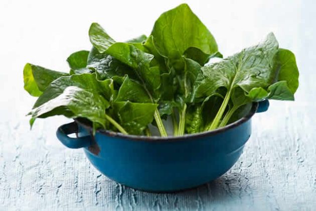 【圖】哪些食物含有葉黃素?