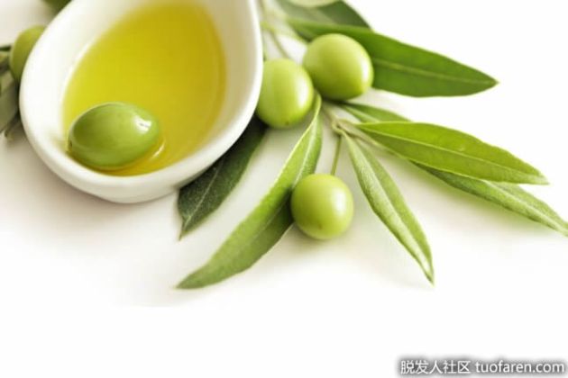 【圖】什麼是有機橄欖油？