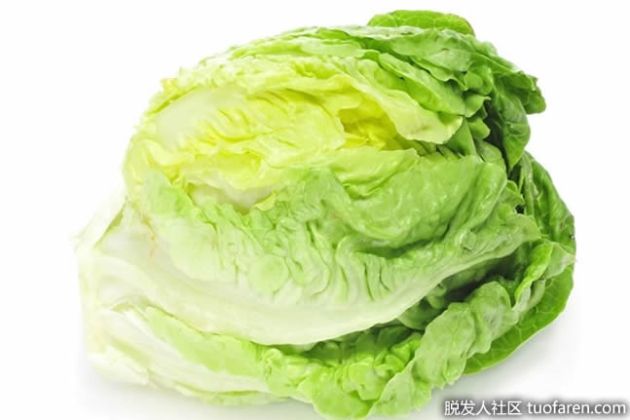 【圖】捲心萵苣的營養價值是什麼？