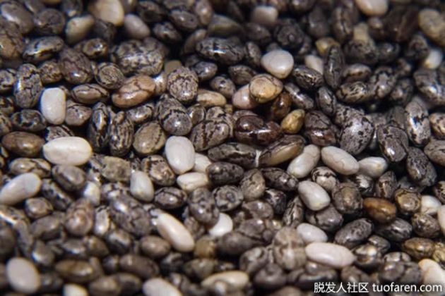 【圖】奇亞籽的副作用是什麼？